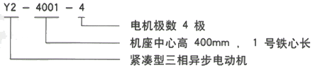 YR系列(H355-1000)高压YE2-225M-2三相异步电机西安西玛电机型号说明